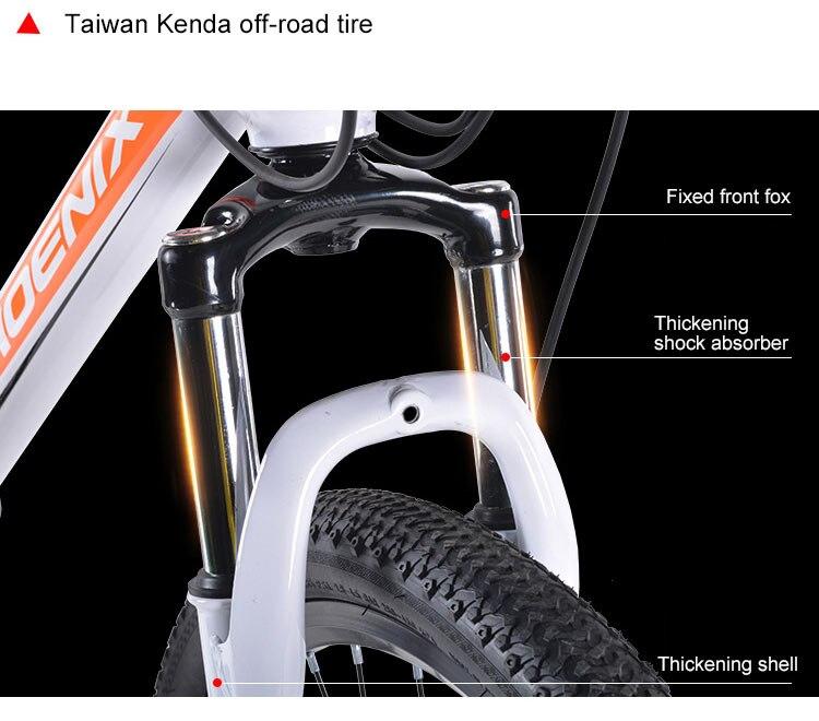 Phoenix Mountain Bike Speed Steel Bicycle MTB Suspension Fork Bicycle