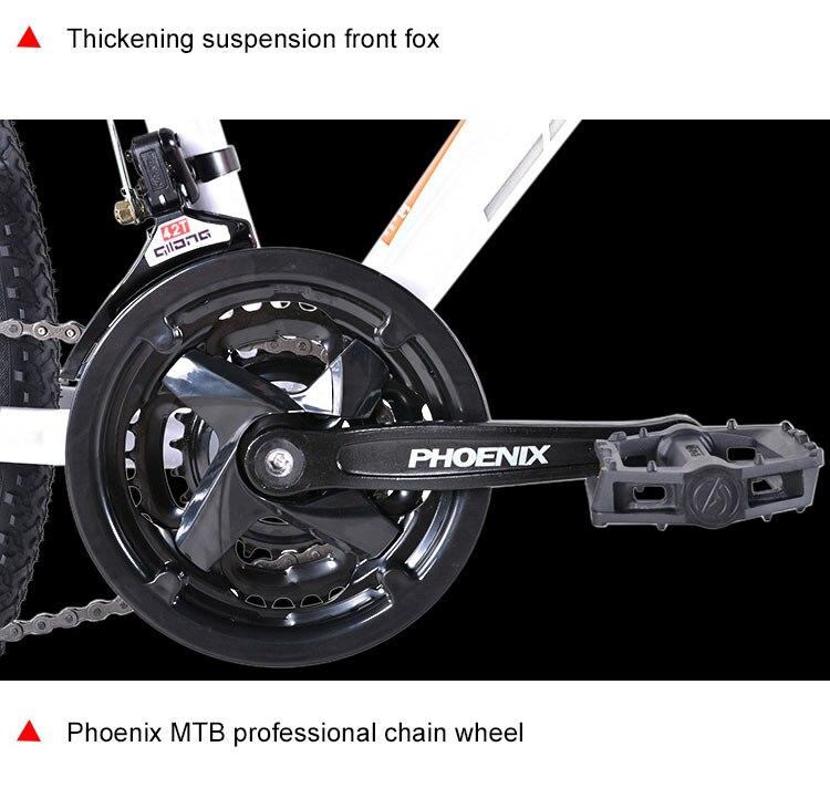 Phoenix Mountain Bike Speed Steel Bicycle MTB Suspension Fork Bicycle