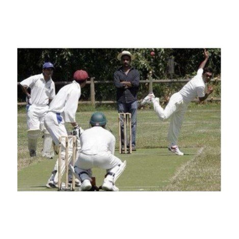 Children's Plastic Cricket Bat Balls Set Sports Toys