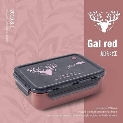 Pack of 10 - Portable Lunch Box (22.5*16.5*7cm)