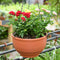 Set of 3 - Watering Pot Hanging Baskets For Plants