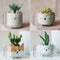 Set of 4 Ceramic Flower Pot Cartoon Animal Plant Pot Balcony Decorations