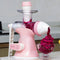Household Manual Fruit Juicer and Ice Cream Maker Machine