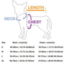 Dog Pet Harness Collar - mishiKart