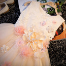 Floral Lace Up Embroidery Princess Kids Dress For Girls