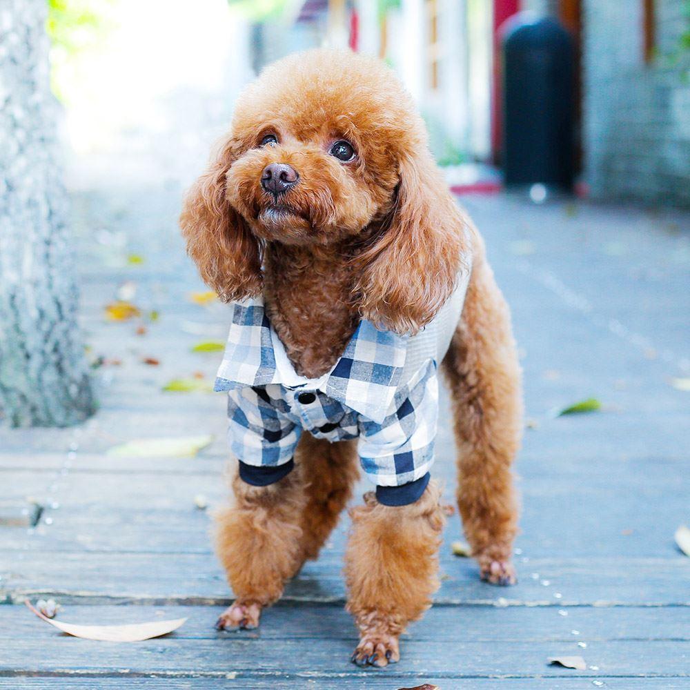 Fashionable Pet Dog Puppy Costume - mishiKart