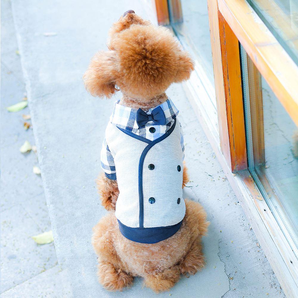 Fashionable Pet Dog Puppy Costume - mishiKart