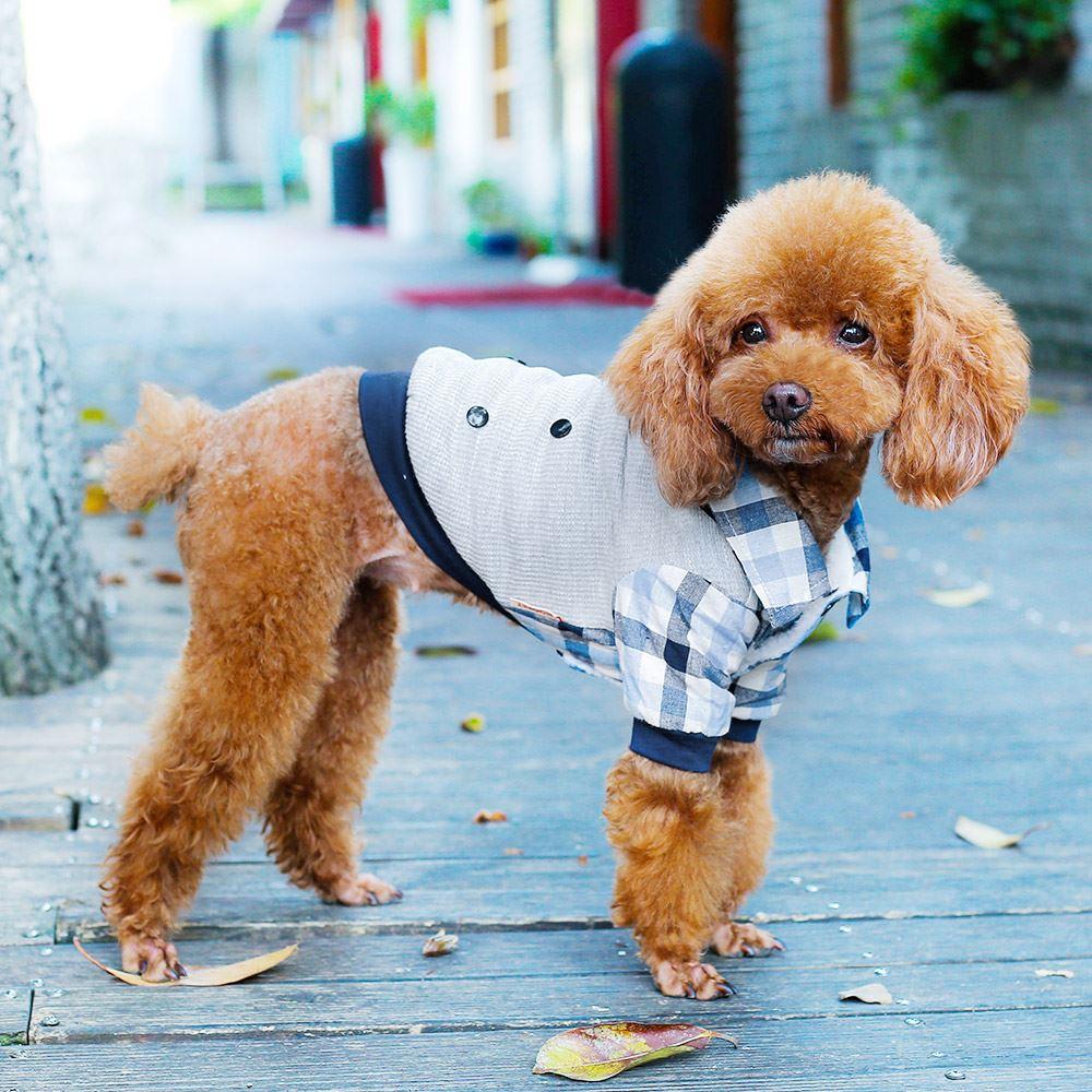 Fashionable Pet Dog Puppy Costume - mishiKart