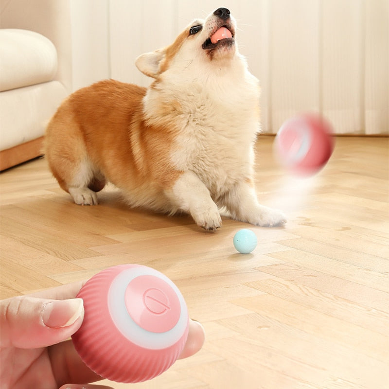 Electric Rolling Self- Moving Ball For Cats & Dogs